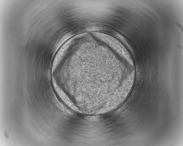 X0000101460810200808041040