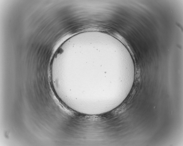 X0000101460811200808041040