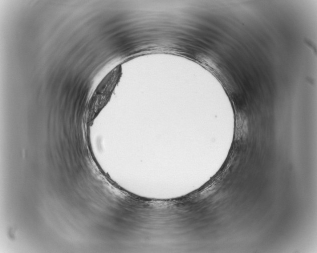 X0000101460812200808041040
