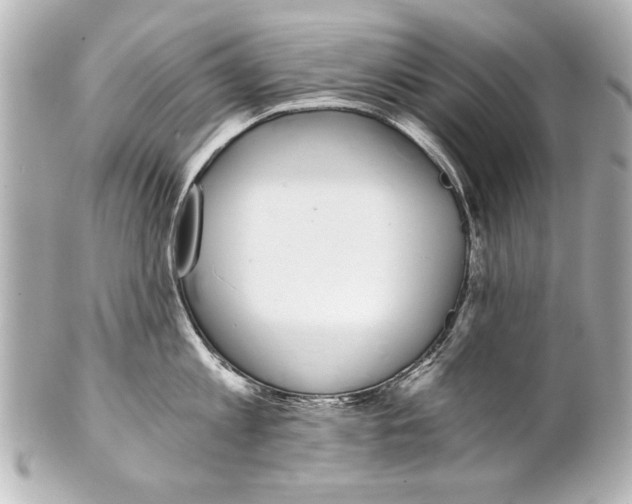 X0000101460813200808041040