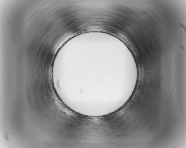 X0000101460814200808041040