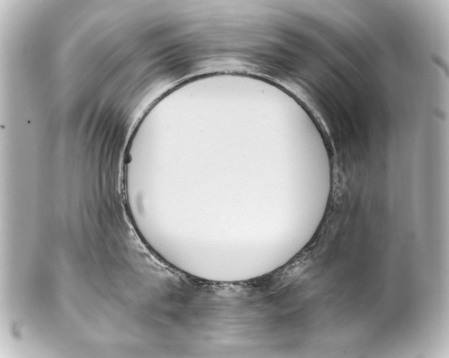 X0000101460815200808041040