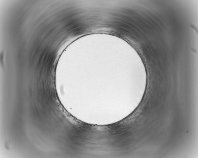 X0000101460816200808041040