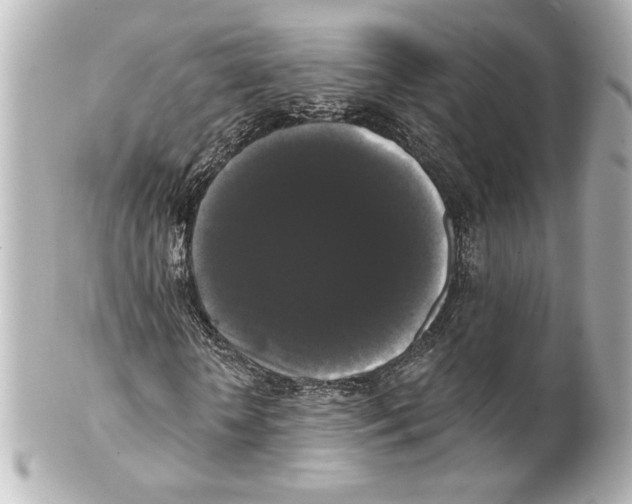 X0000101460818200808041040