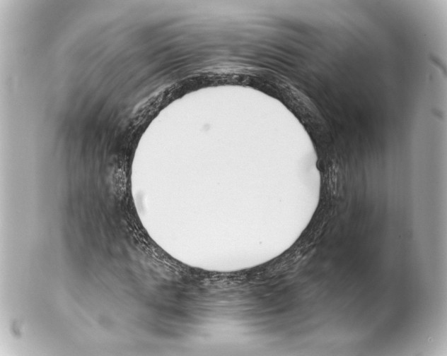 X0000101460821200808041040