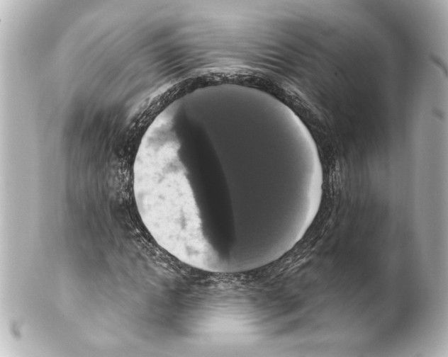 X0000101460822200808041040