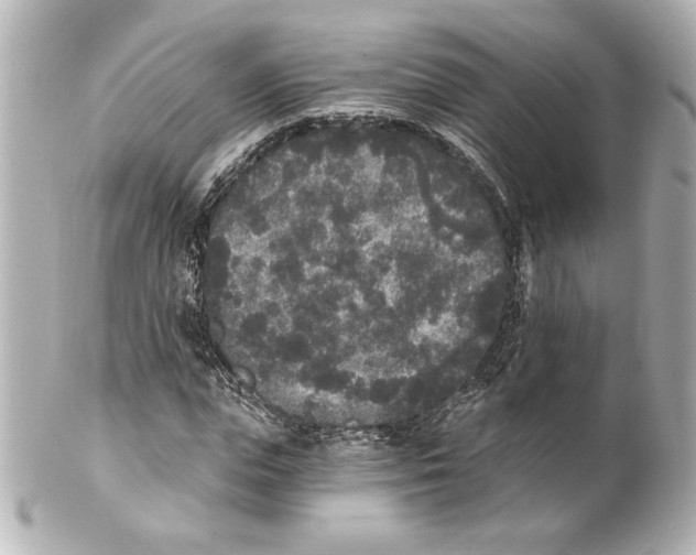 X0000101460823200808041040