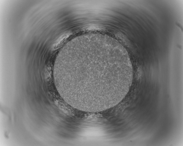 X0000101460824200808041040