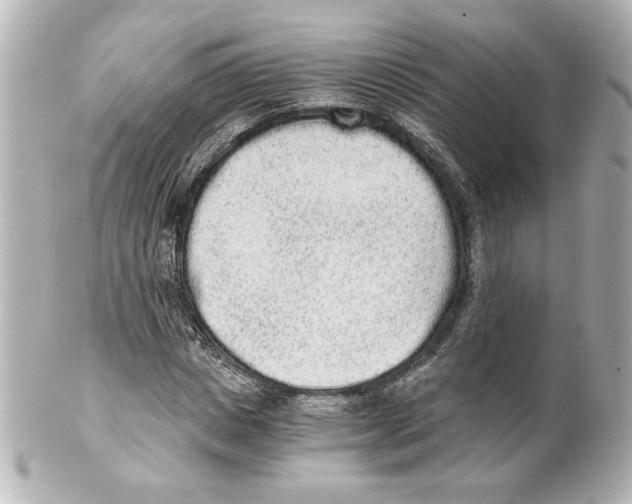 X0000101460825200808041040