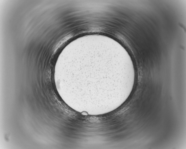 X0000101460827200808041040