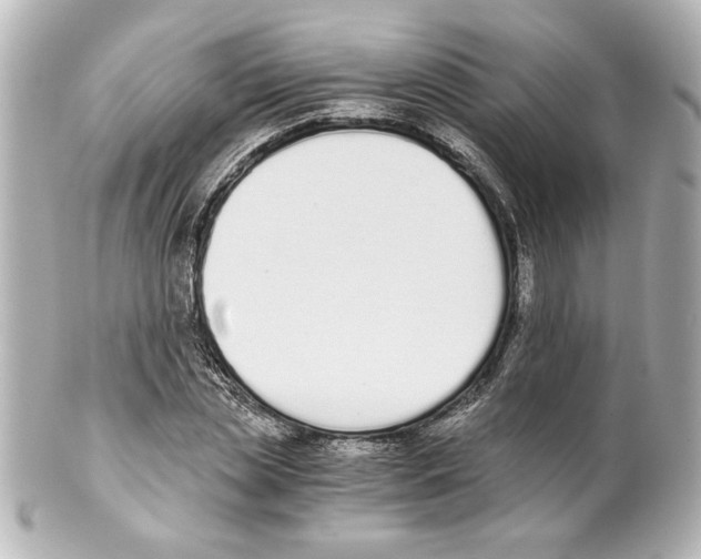 X0000101460829200808041040