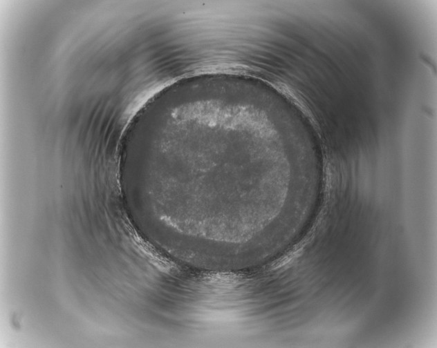 X0000101460830200808041040