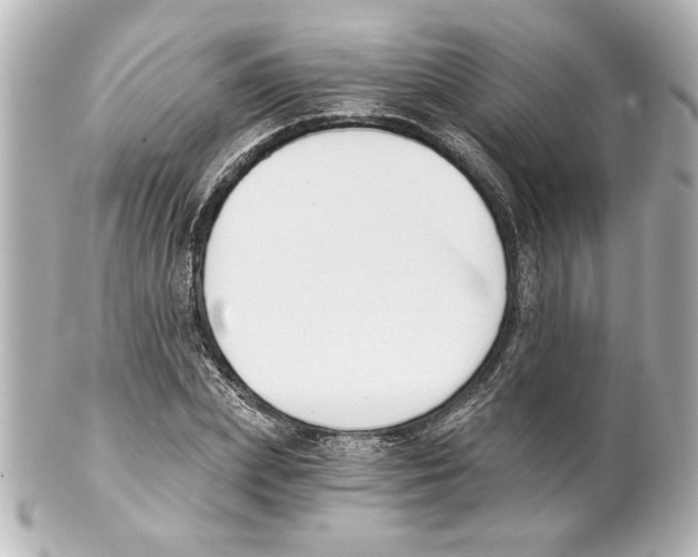 X0000101460831200808041040