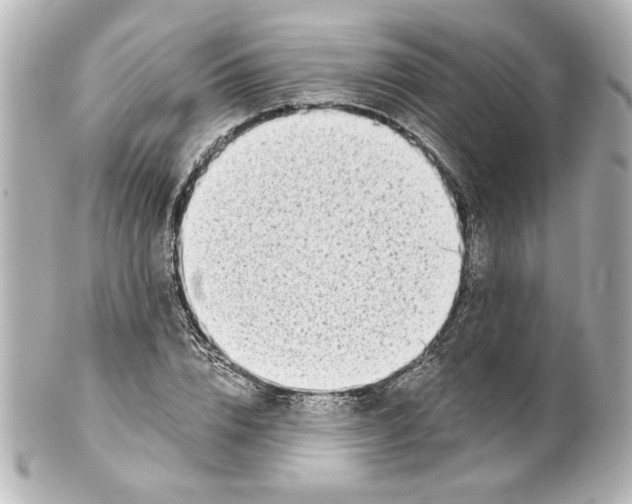 X0000101460832200808041040