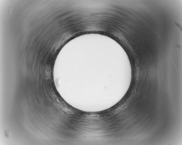 X0000101460833200808041040