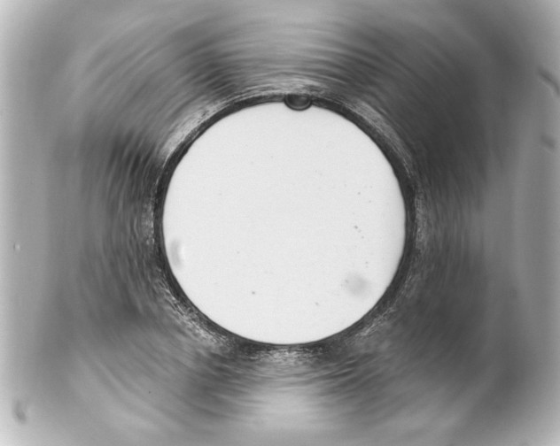X0000101460834200808041040