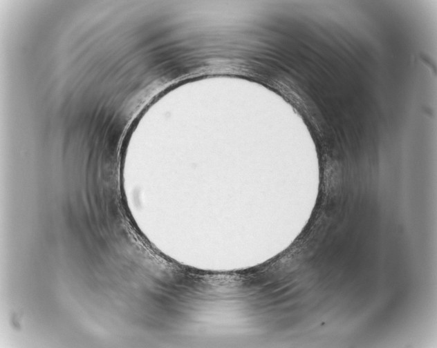 X0000101460836200808041040