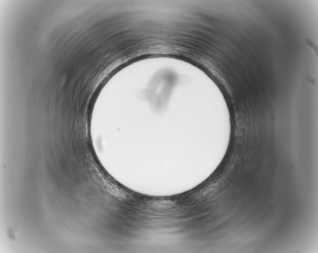 X0000101460837200808041040