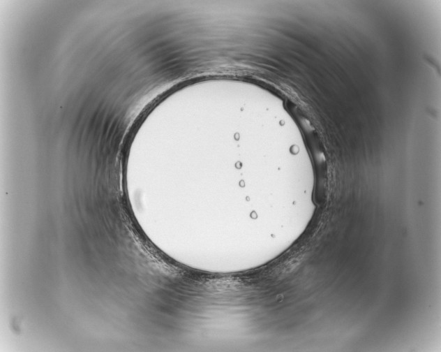 X0000101460838200808041040
