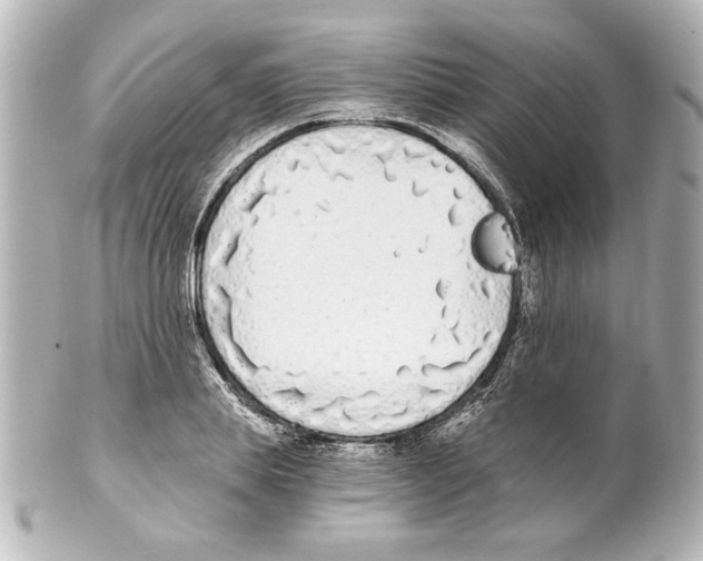 X0000101460839200808041040