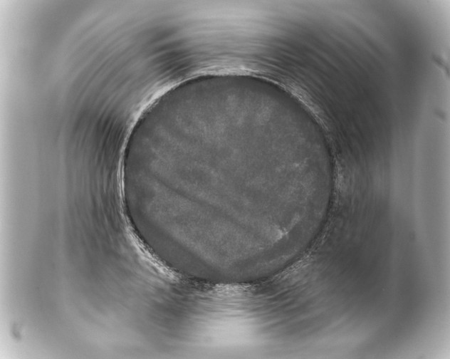 X0000101460840200808041040