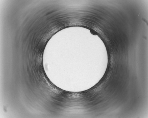 X0000101460841200808041040