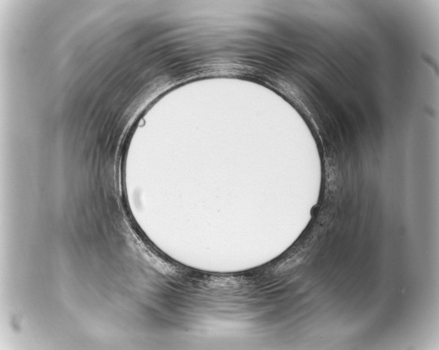X0000101460843200808041040