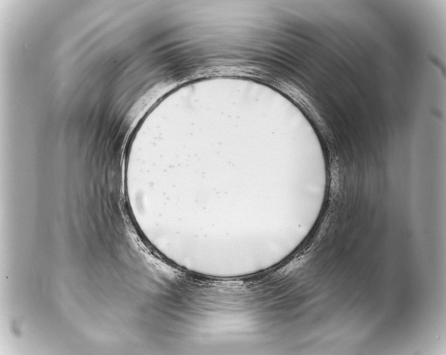 X0000101460844200808041040