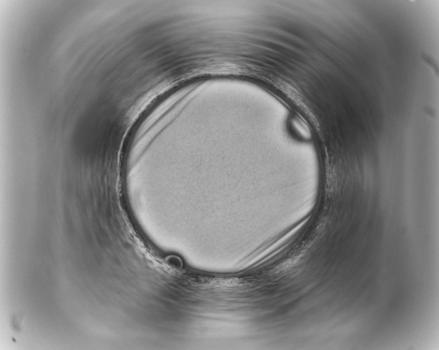 X0000101460845200808041040