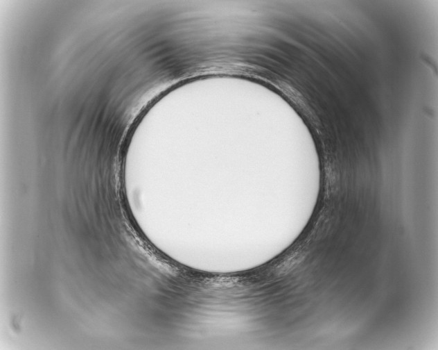 X0000101460846200808041040