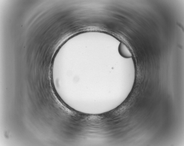 X0000101460847200808041040