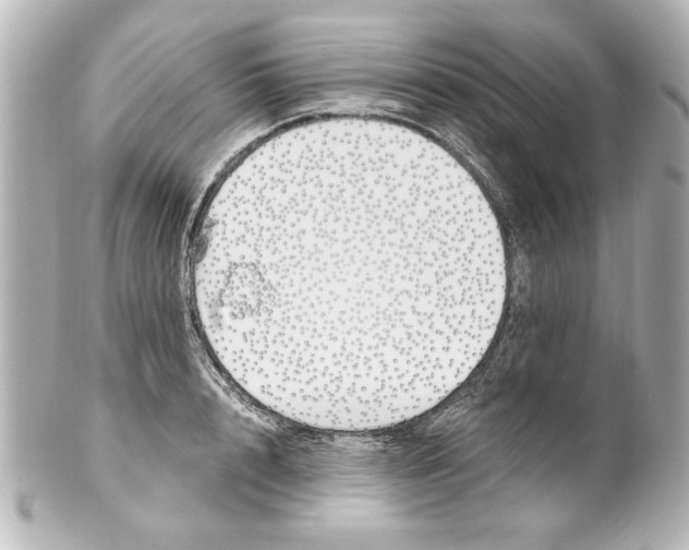X0000101460848200808041040