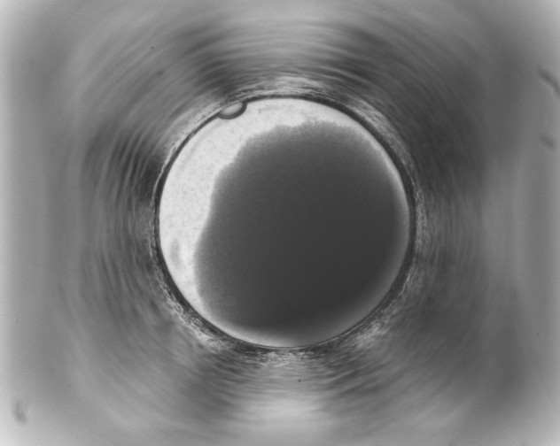 X0000101460850200808041040