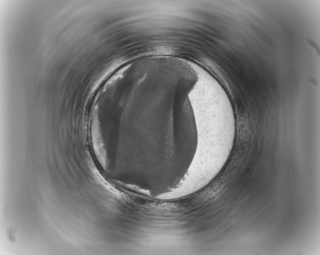 X0000101460851200808041040