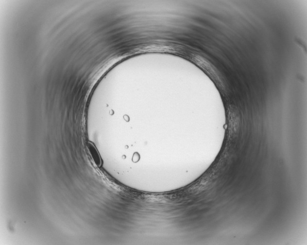 X0000101460852200808041040