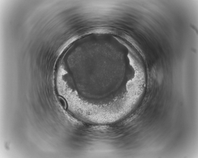 X0000101460853200808041040