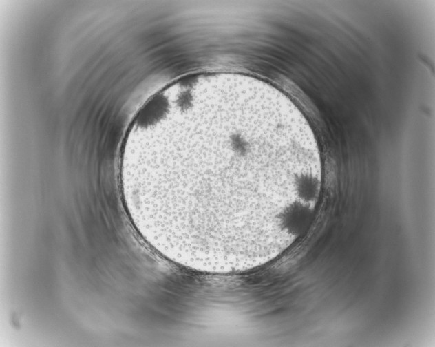 X0000101460856200808041040