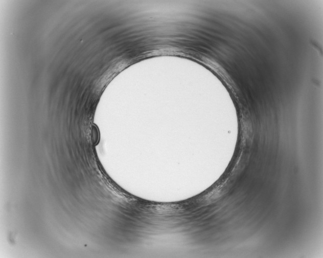 X0000101460857200808041040