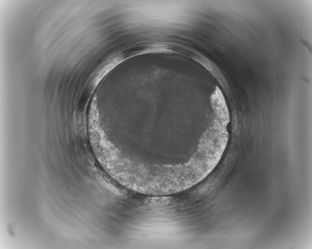 X0000101460858200808041040