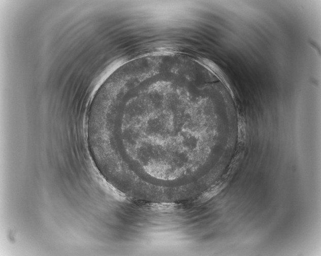 X0000101460859200808041040