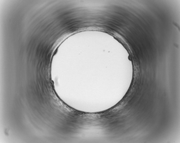 X0000101460860200808041040