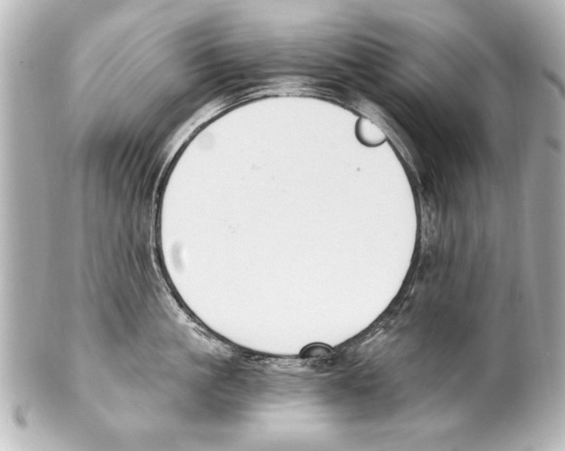 X0000101460861200808041040