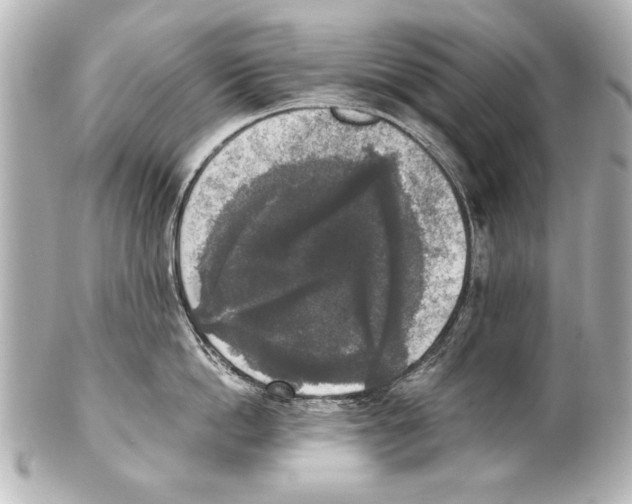 X0000101460862200808041040