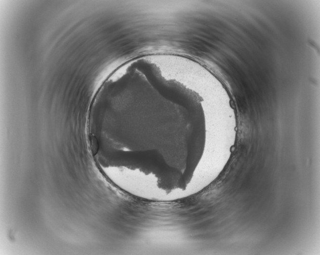 X0000101460863200808041040