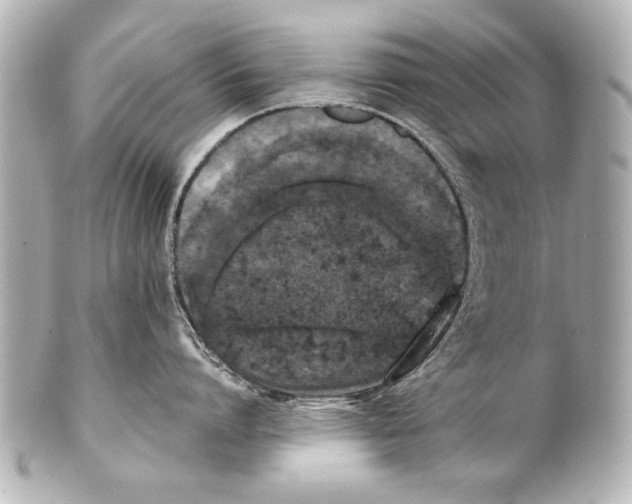X0000101460864200808041040