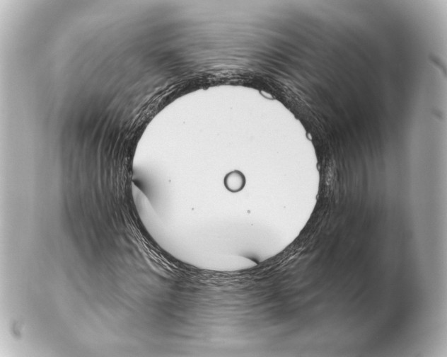 X0000101460868200808041040