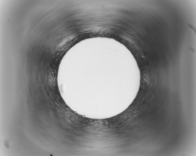 X0000101460869200808041040