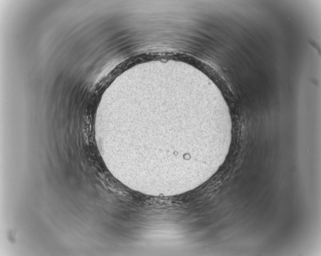 X0000101460871200808041039