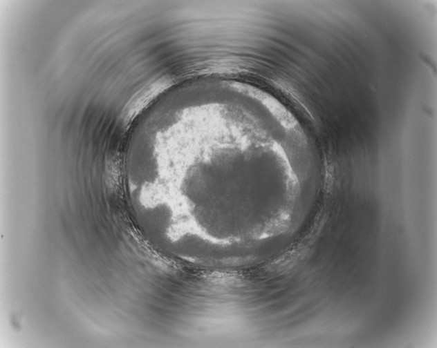 X0000101460874200808041039