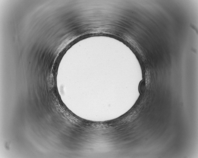 X0000101460876200808041039